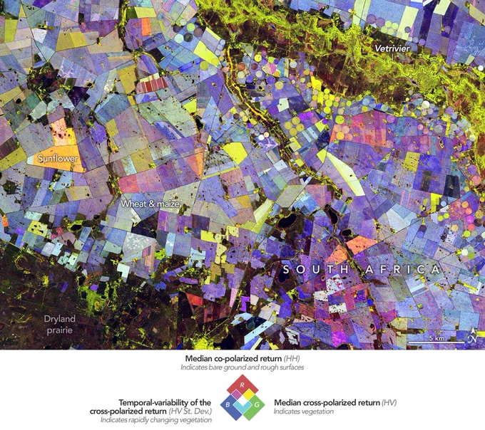 A visualization of agricultural land in South Africa shows geometric fields in an array of colors that combine red, green, and blue. Credit: NASA