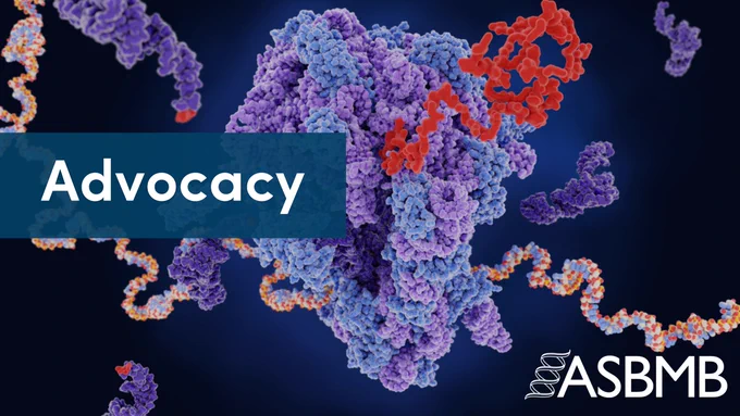Graphic with the word “Advocacy” and a 3D molecular structure in the background.