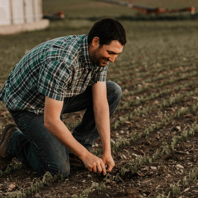 Farmer kneels down to look at small plant in field.