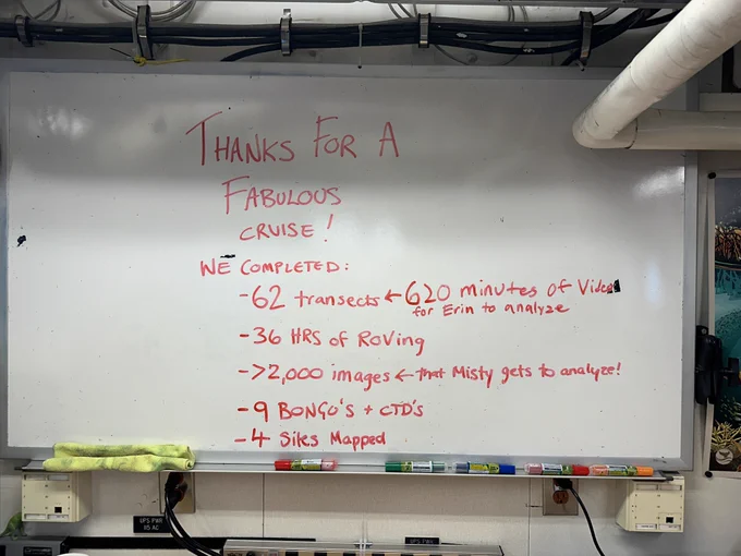 White board with text written in a red marker. 