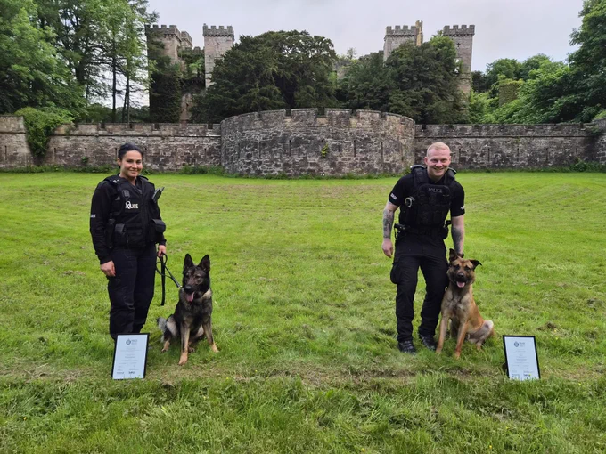 PC Aitchison and PC Hughes dressed in Police uniform standing next to their police dogs that are sitting on the grass with their certificates next to them.  They are on grass in front of castle ruins.  The dog on the left is a sable German Shepherd and the dog on the right is a fawn Belgian Mailnois.