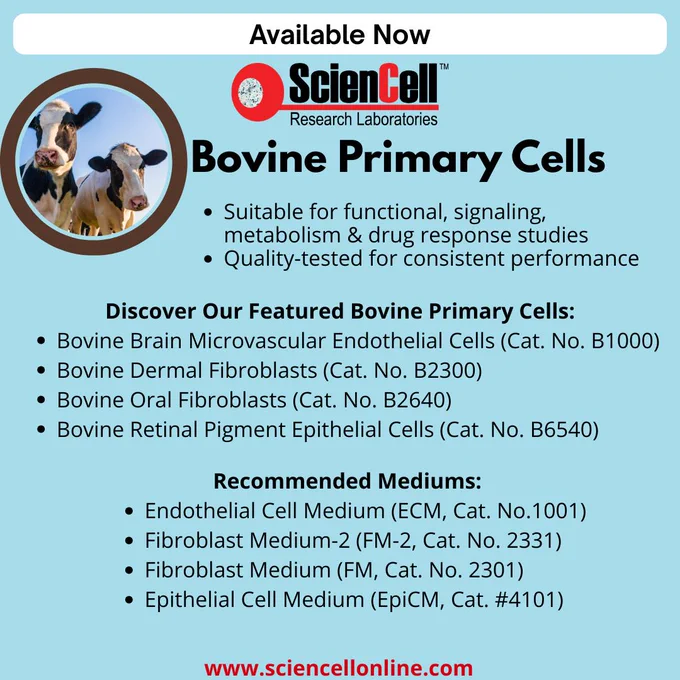 Looking for reliable bovine cell models?
ScienCell's bovine primary cells are designed to support a wide range of research applications, including functional studies, signaling pathways, metabolism, and drug response evaluation.

Discover high-quality cells and optimized media solutions designed to help move your research forward.

Learn More: https://sciencellonline.com/en/

#ScienCell #BovinePrimaryCells #PrimaryCells #CellCulture #BiotechResearch #LifeSciences #BiomedicalResearch #DrugDevelopment #CellBiology