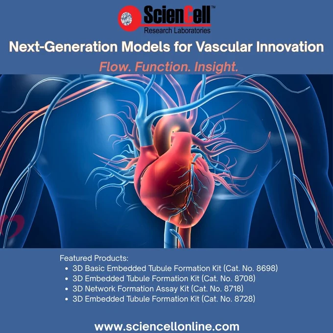 🧬 Visualize Vascular Formation in 3D!

From angiogenesis and endothelial cell behavior to vascular remodeling and therapeutic screening, ScienCell's 3D vascular assay kits help researchers study complex vascular processes with greater biological relevance.

🔬 Designed for:
✔️ Angiogenesis studies
✔️ Tubule formation analysis
✔️ Vascular network development
✔️ Drug screening applications

Advance vascular research with models built for meaningful insights.

Explore Now: https://sciencellonline.com/en/products-services/3d-cell-culture/

#ScienCell #AngiogenesisResearch #VascularResearch #3DCellCulture #EndothelialBiology #CardiovascularScience #DrugDevelopment #CellBiology #LifeSciences