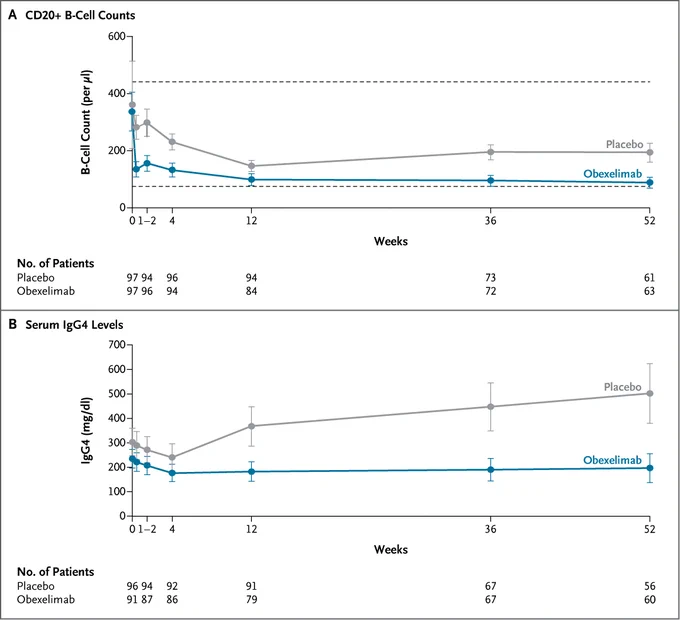 The image displays two line graphs. The top graph shows CD20  B-cell counts over time in weeks, comparing placebo and obexelimab treatments. The bottom graph presents serum IgG4 levels. Both graphs include patient numbers at different stages.