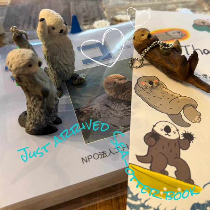 浜中町から届いてラッコ🦦本✨に、興味津々なちびメイキラ🦦🦦