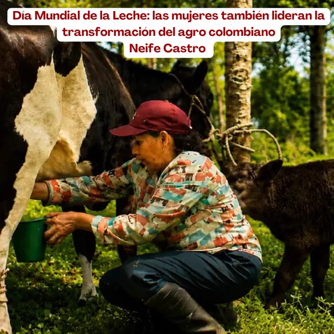 https://www.contextoganadero.com/gremialidad/dia-mundial-de-la-leche-las-mujeres-tambien-lideran-la-transformacion-del-agro-colombiano