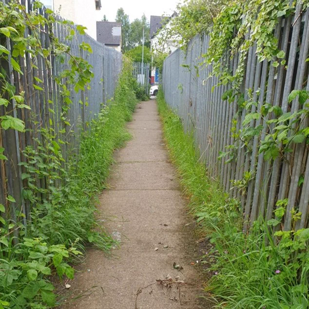 A narrow concrete path between two overgrown metal fences, leading towards a street.
