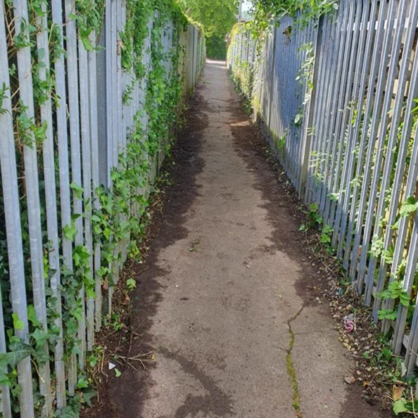 A narrow path between two tall metal fences covered in ivy, leading into the distance.