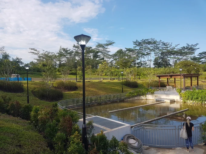 A peaceful park scene with a small pond, surrounded by greenery and lampposts under a partly cloudy sky.