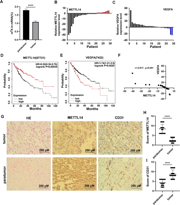 Xiong et al., Cancer Reports, 2026; https://doi.org/10.1002/cnr2.70592