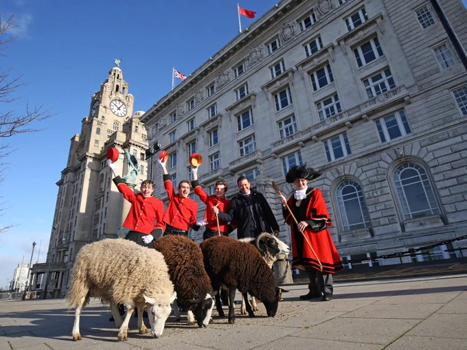 A group of people in red coats stand beside the Royal Liver Building & Cunard Building in Liverpool. Several sheep are feeding on the ground nearby. The building is large and ornate with a clock tower.