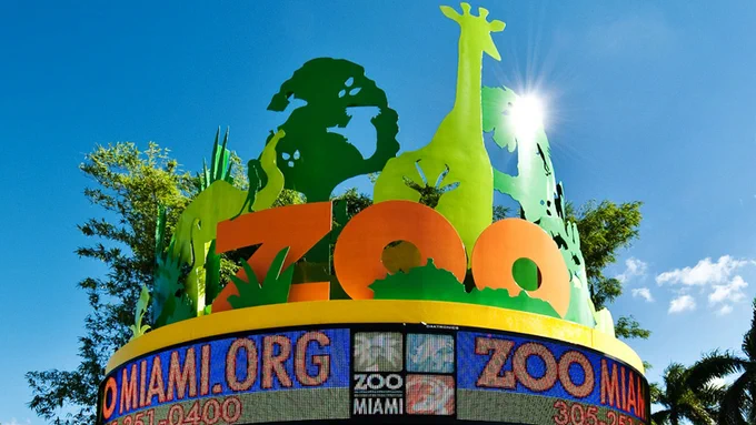 A vibrant zoo entrance sign under a clear blue sky. It features large orange \"ZOO\" letters and green cutouts of a giraffe, trees, and other animals. Sun flares brightly from behind the giraffe. Below, an electronic display shows \"OMIAMI.ORG,\" \"305-251-0400,\" and \"ZOO MIAMI 305-255-5551.\"