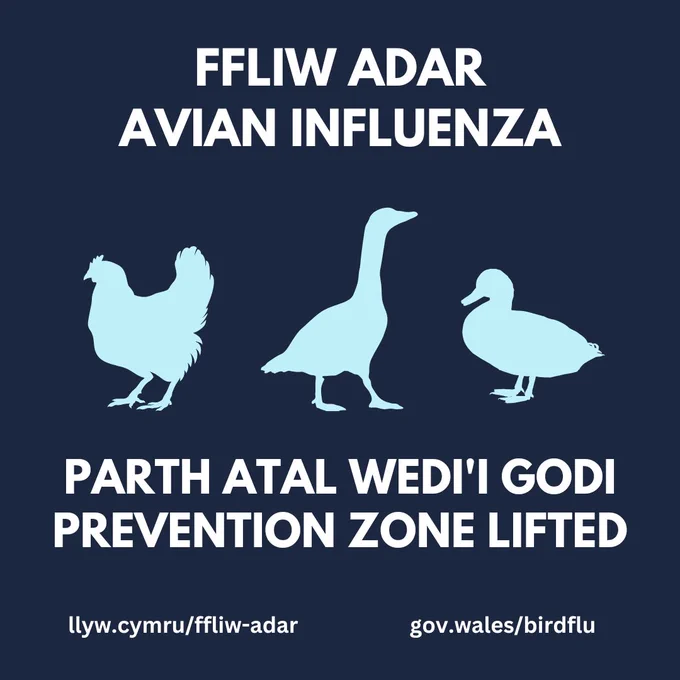 Ffliw adar - avian influenza
Lluniau - pictures: iâr - hen, gŵydd - goose hwyaden - duck 
Parth atal wedi'i godi - prevention zone lifted