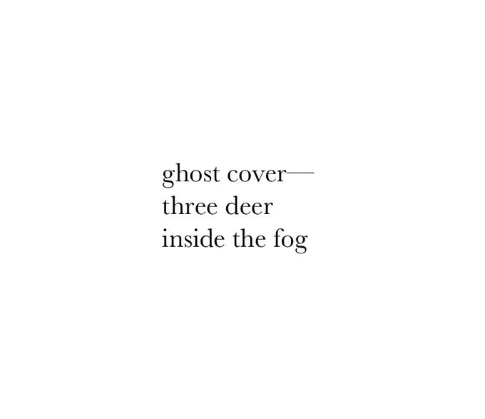Against a fog-white background, a #haiku by new contributor, Thomas L. Vaultonburg reads, 

ghost cover —
three deer
inside the fog 

Thomas is a poet from Rockford, Illinois. His work has appeared or is forthcoming in many online and print venues. He is co-founder of Wolf Twin Books, where he collaborates with his partner, Tre. #poetry #fog #deer #illinois