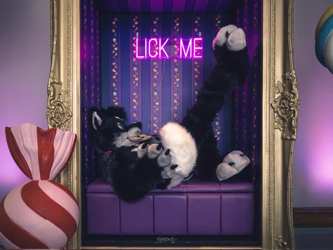 Black, white and grey wolf-dog fursuiter lounging playfully inside a candy-themed display box with one leg raised. Purple neon sign reading “LICK ME” glows behind him, with ornate gold framing, striped candy props, and moody pink-purple lighting creating a cheeky, surreal atmosphere.