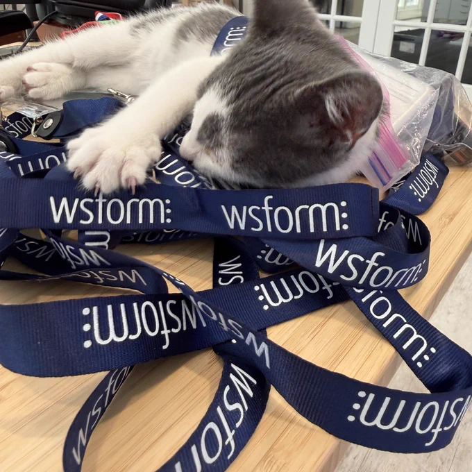 Photo of a gray and white can sleeping amongst WS Form lanyards.