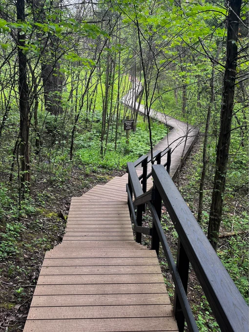 Runge Nature Center
