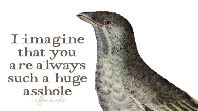 A painting of a bird next to the words "I imagine that you are always such a huge asshole"