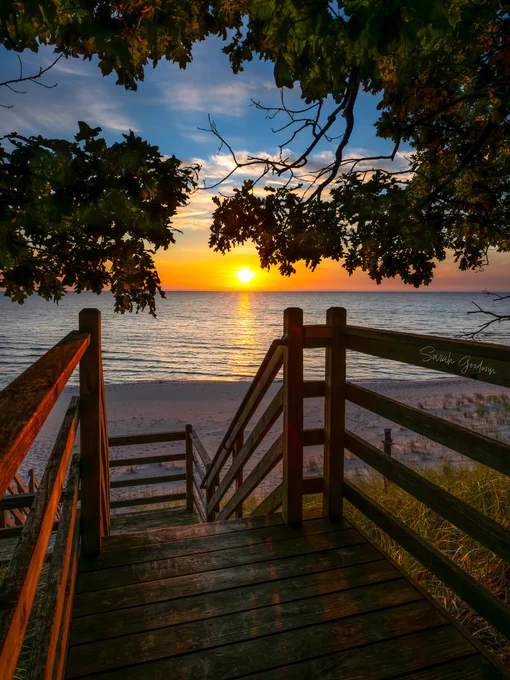 Sunset viewed from a wooden staircase leading to a beach, framed by lush green leaves, with the sun reflecting off the water.