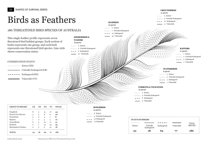Black-and-white infographic titled “Birds as Feathers,” showing 186 threatened bird species of Australia as individual feather barbs in one large sweeping feather. Different line styles represent EPBC conservation status, from extinct to vulnerable. Species are grouped around the feather by bird type, with a small status summary table.