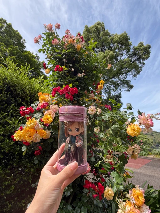 オレンジ・ピンク・赤の薔薇を背景に撮った、ドール用ポーチ入りの野薔薇ちゃんドール