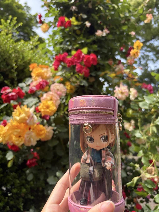 ドールに近づいて撮影。背景のバラはピンボケ