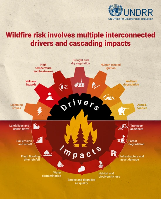 Diagram showing wildfire risk drivers like drought, heat, and human ignition linked to impacts such as habitat loss, air pollution, and infrastructure damage.
