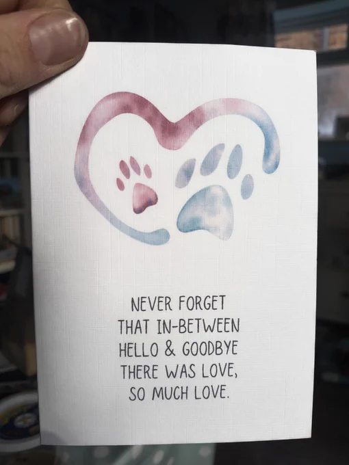 A white card with a flowing heart shape in red and blue, with two paw prints in the middle. It says, "Never forget that in between hello & goodbye, there was love, so much love."
