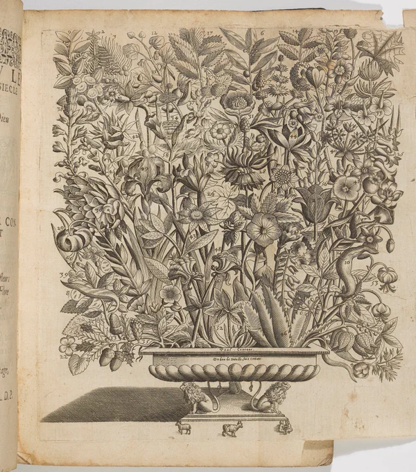Engraving of bouquet of flowers