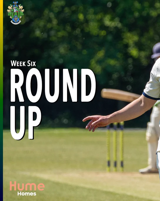 Halstead Cricket Club Week Six Round Up cover card. A batsman plays a shot with a bat blur visible in the air, stumps and a keeper in the background on a sunny outfield. Large white text reads "Week Six Round Up". The HCC coat of arms appears top left and the Hume Homes sponsor logo sits bottom left. A green, yellow and navy stripe runs down the left edge.
