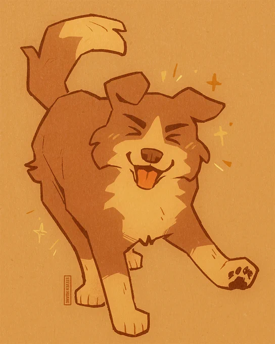 A very happy border collie.