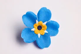 We see the image a Forget Me Not, a beautiful flower with sky-blue, five-petaled bloom, and a bright yellow and white centre. For the Alzheimer's Society, it represents remembrance, hope, solidarity, and the promise that people living with dementia and their loved ones will never face the disease alone.