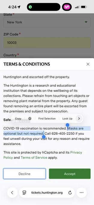 Screenshot of museum safety terms: “Masks are optional but not required.”