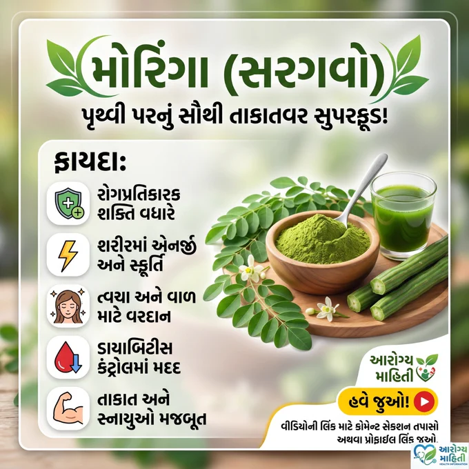 મોરિંગા (સરગવો) - તાકાતવર સુપરફૂડ