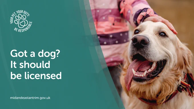 An image of a dog with the text "Got a dog? It should be licensed" and the "Your pet, your duty: Be responsible" pawprint and heart logo