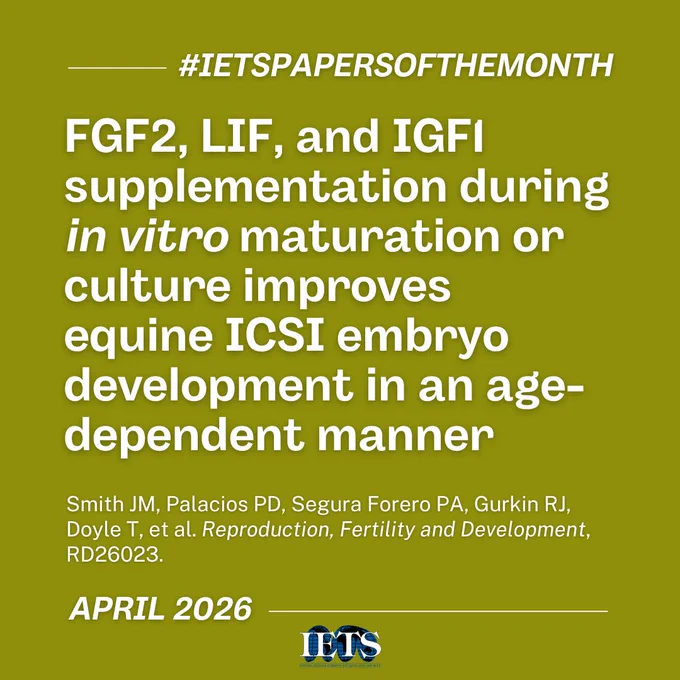 #IETSPapersOfTheMonth

FGF2, LIF, and IGF1 supplementation during in vitro maturation or culture improves equine ICSI embryo development in an age-dependent manner

Smith JM, Palacios PD, Segura Forero PA, Gurkin RJ, Doyle T, et al. Reproduction, Fertility and Development, RD26023.

April 2026