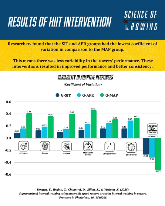Informational chart displaying results from a HIIT intervention study, emphasizing the reduced variability in rowers' performance among different training groups. The visual presents a detailed comparison of variability in adaptive responses.
