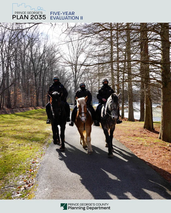 Three mounted police officers ride horses down a trail with trees on the sides