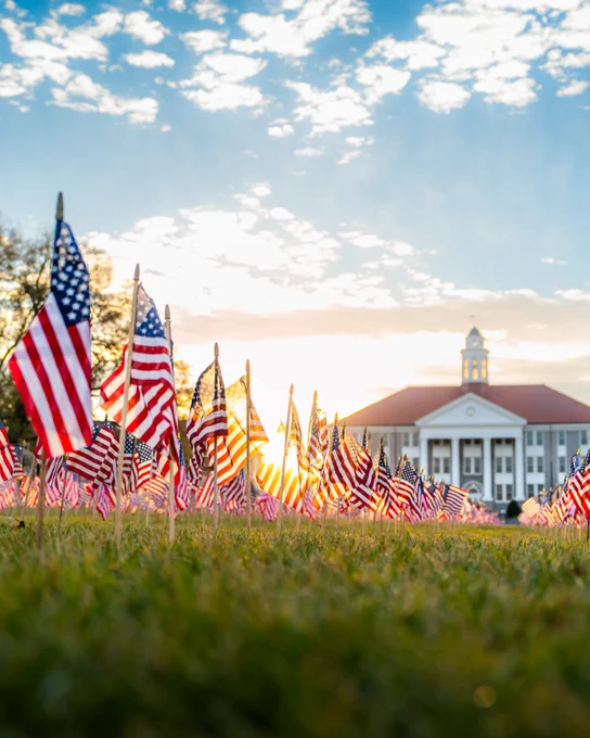 Rows of small American flags placed in a grassy lawn at sunrise, with sunlight shining through the flags and Wilson Hall blurred in the background.