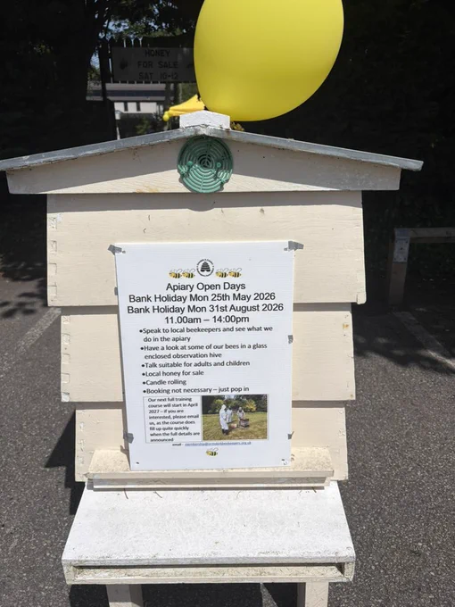 A honey bee hive