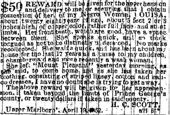 $50 REWARD will be given for the apprehension and delivery to me or securing that I obtain possession of her , of my Negro Woman, LOUISA, about twenty eight years of age, about 5 feet 2 or 8 inches high of copper color, rather full face, and stout limbs. Her front teeth, which are good, have a space between them. She speaks quick, and so thick tongued as not to be distinctly understood. No marks recollected. She walks quick, and has been about my house for the last 17 years as a nurse to my children; a chambermaid and more recently a wash woman.She left "Mount Pleasant" yesterday morning, as she said, to come home, and as she has taken her clothing, consisting of striped linsey cotton and calico dresses, I have no doubt she is trying to get away. The above reward will be given for her apprehension, if taken beyond the limit of Prince George's county, or twenty dollars if taken in said county. H.C. Scott Upper Marlboro', April 1952. a21 6t*