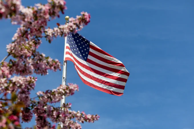 American flag flying beside blooming spring trees against a blue sky