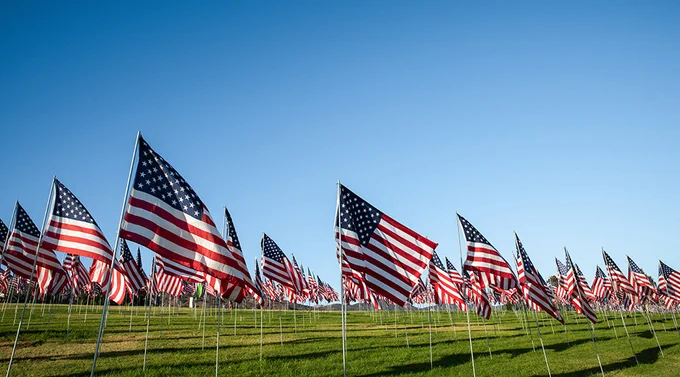 Rows of American flags waving on green grass under a clear blue sky during daylight.