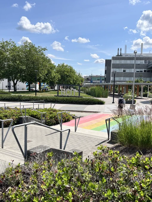 Pathways and landscaping at BCIT Burnaby Campus with a rainbow crosswalk and campus buildings in the background. 