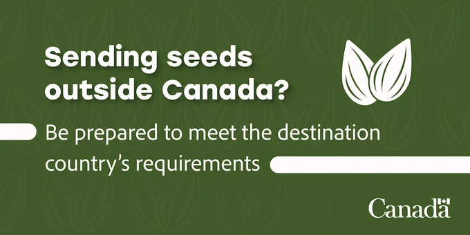 Background with a repeating seed pattern and seed icons on the right. Text: Sending seeds outside Canada? Be prepared to meet the destination country’s requirements. 