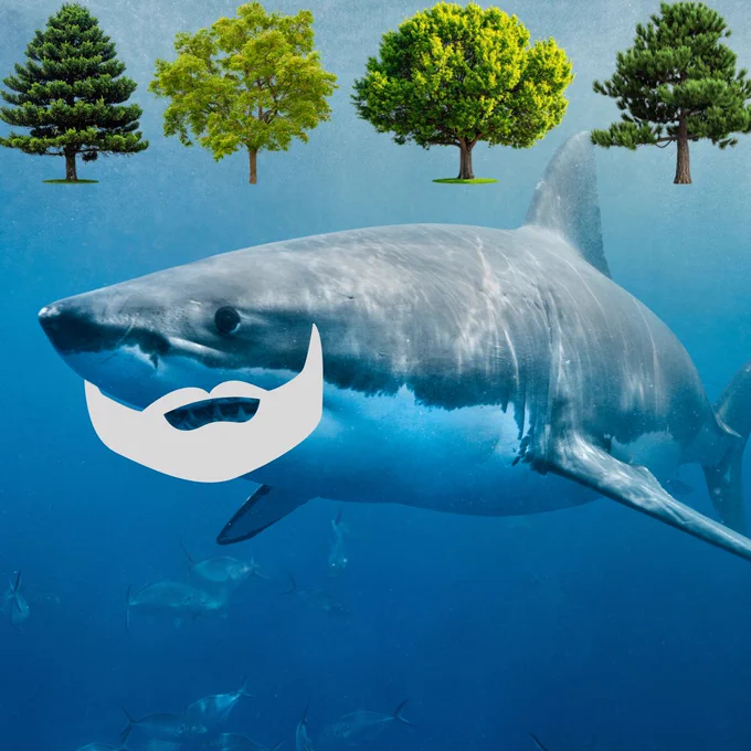 A large great white shark is shown swimming underwater in clear blue ocean water, with a school of smaller fish visible in the background. Four different species of trees — two conifers and two broadleaf trees — are composited along the top edge of the image as if sitting at the water's surface. The shark has a cartoon white goatee beard drawn on its chin, implying age and wisdom.