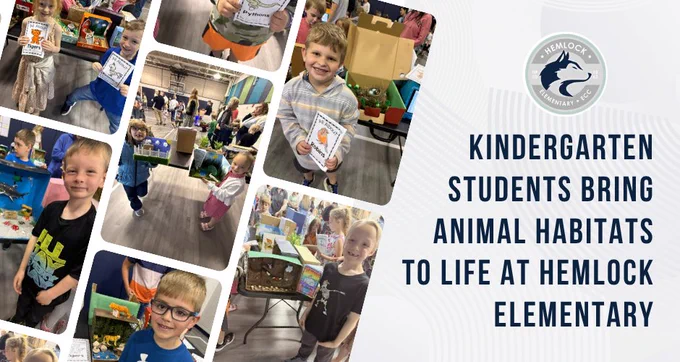 Little El Banner