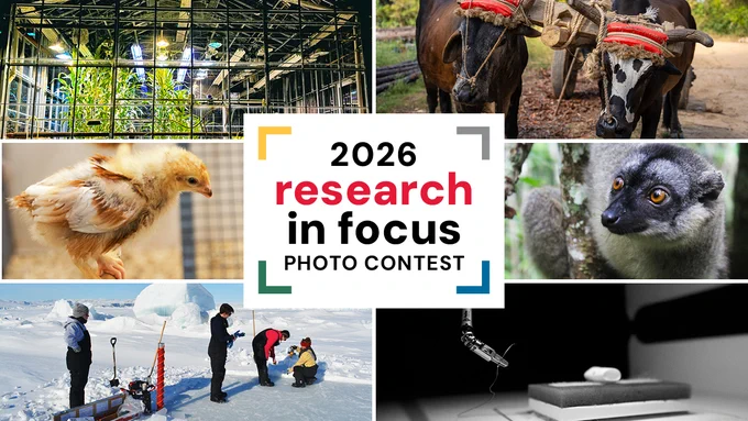 A collage of six images representing scientific research is shown. Top left: a metal greenhouse structure. Top right: two oxen with traditional headgear. Middle left: a chick in close-up. Middle right: a lemur on a tree. Bottom left: researchers in icy terrain with equipment. Bottom right: an insect interacting with a small object in a laboratory setting. The title "2026 Research in Focus Photo Contest" is prominently displayed in the center.