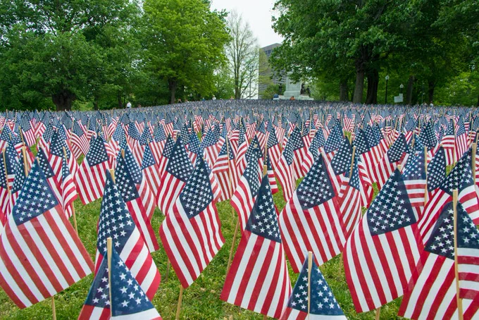 Rows of American flags in a park, symbolizing patriotism and national pride.