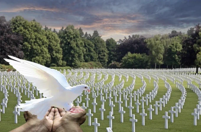 Hands holding a white dove amongst a cemetery of white crosses. Stormy skies over forest in background. Photo by Myriams-Fotos on pixabay